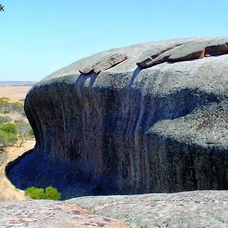 Wudinna Farm View المظهر الخارجي الصورة