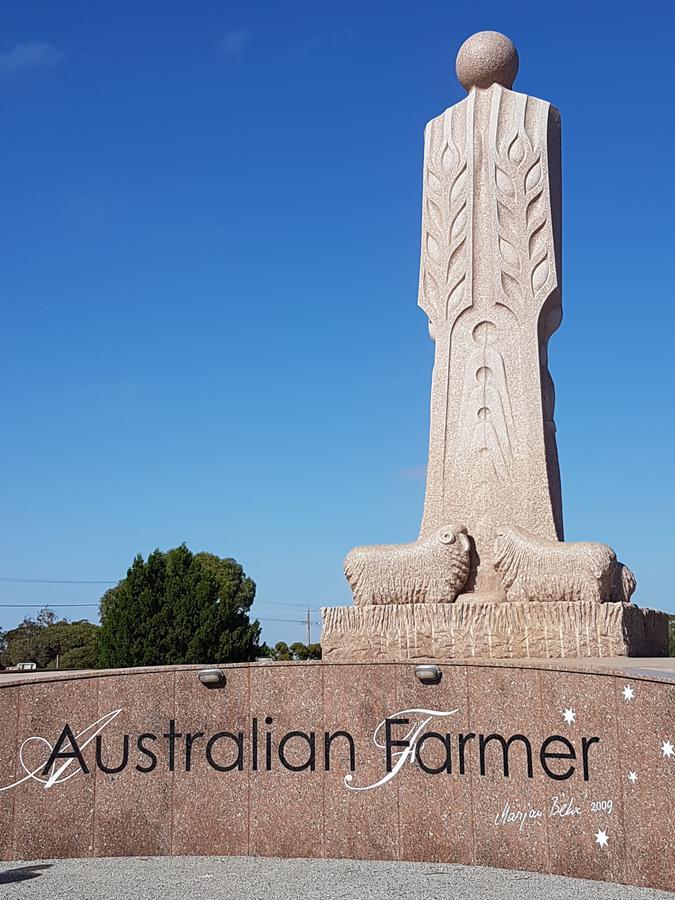 Wudinna Farm View المظهر الخارجي الصورة