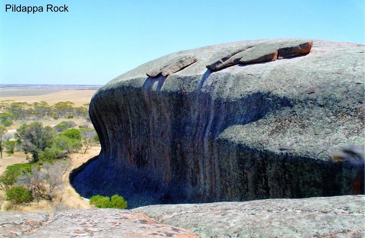 Wudinna Farm View المظهر الخارجي الصورة